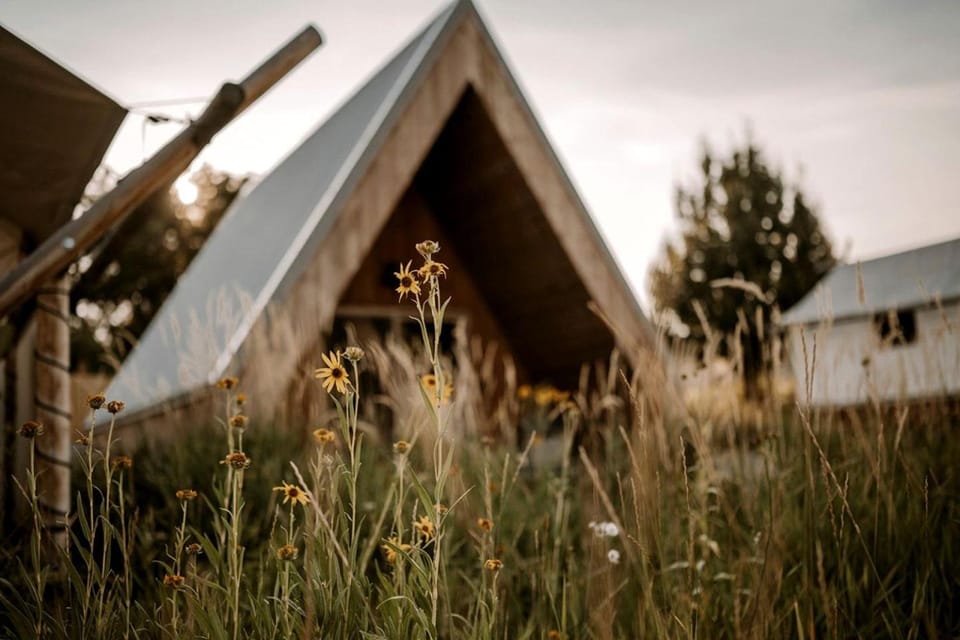 Cozy A-Frame Cabin in the Heart of Paradise Valley for a Unique Escape in Emigrant, Montana Cabin in Emigrant