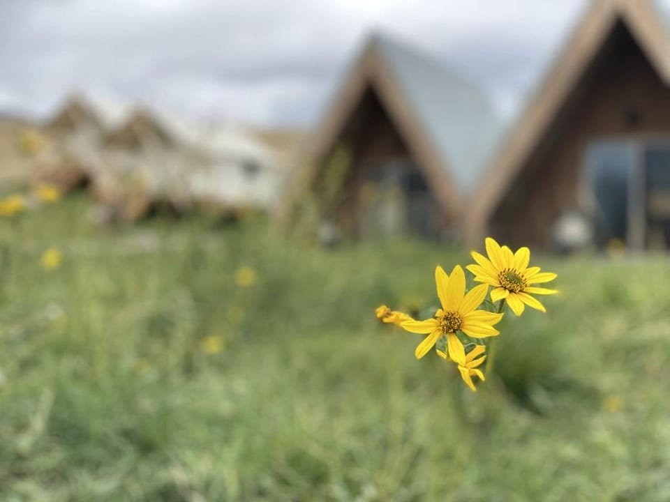 Romantic A-Frame Cabin near Yellowstone for an Amazing Glamping Getaway in Emigrant, Montana Cabin in Emigrant