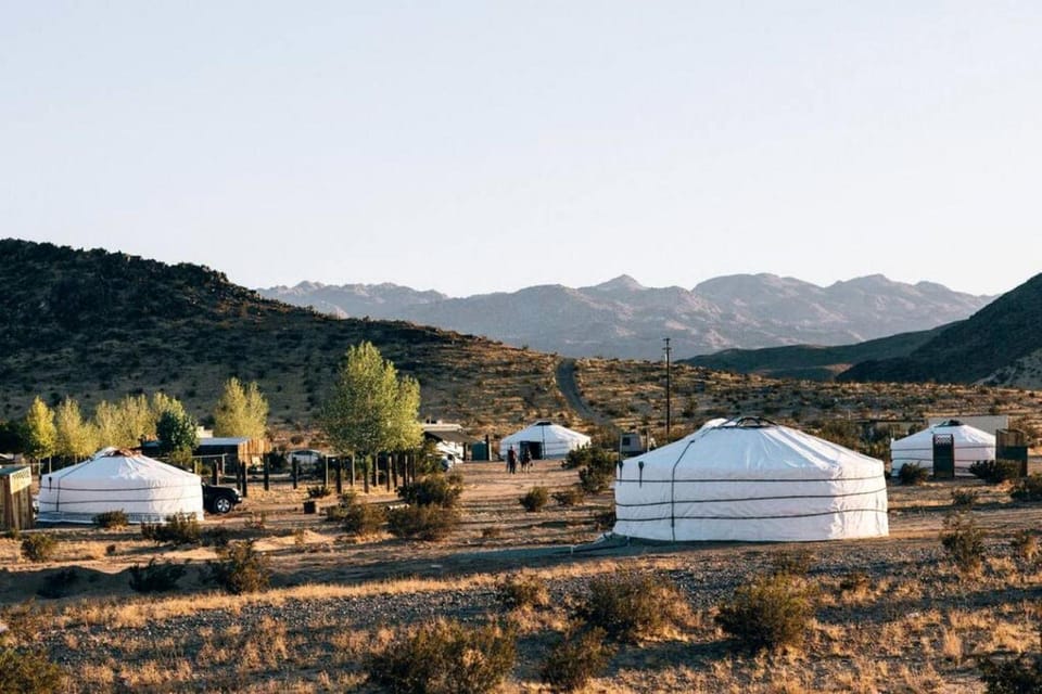 Cozy Yurt Ideal for Stargazing near Joshua Tree National Park, California Luxury tent in Twentynine Palms