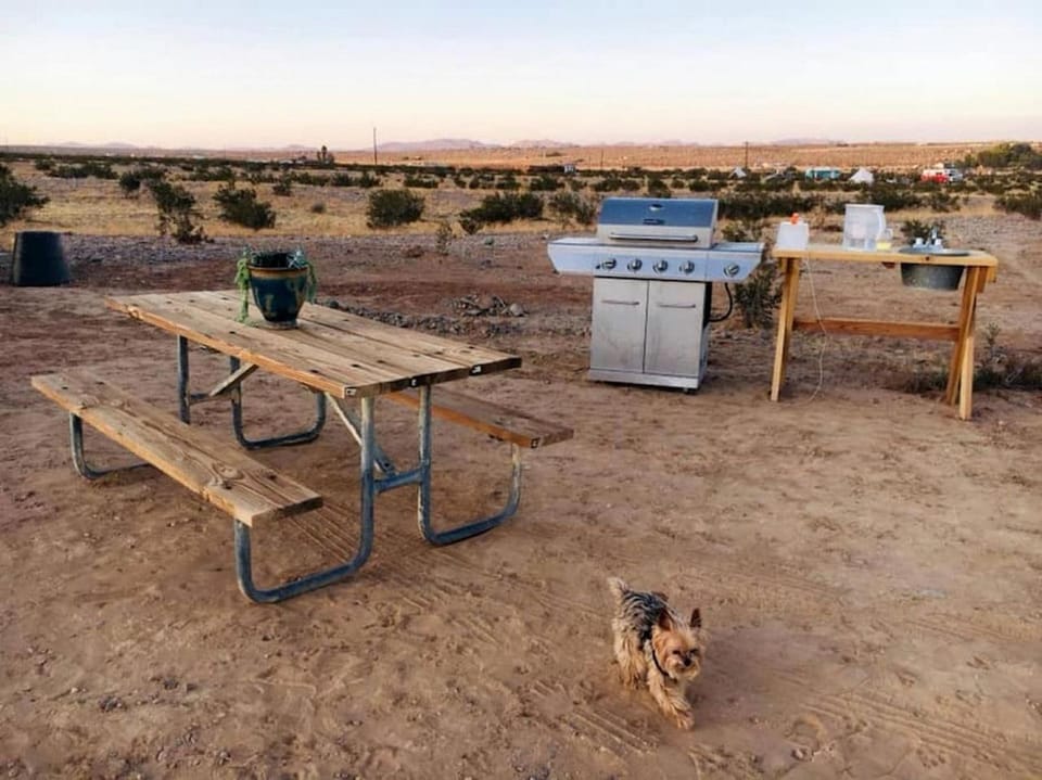 Relaxing Yurt Wonderful for Stargazing near Joshua Tree National Park, California Luxury tent in Twentynine Palms