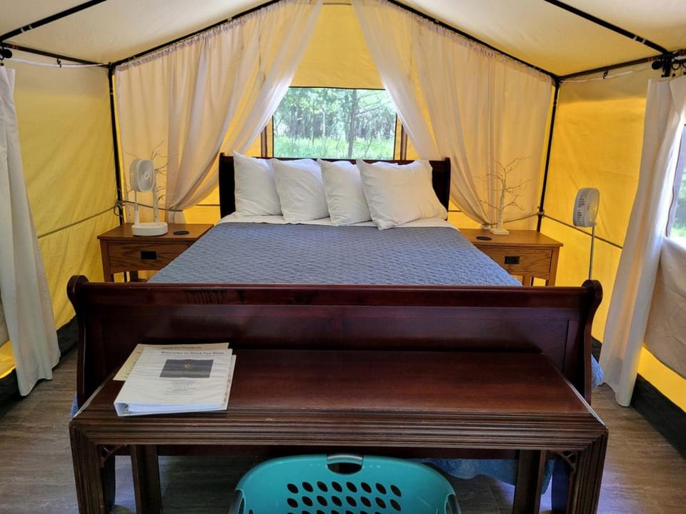 Black Fox Den: A Woodland Glamp - Dog Friendly in Hot Springs, AR Luxury tent in Hot Springs