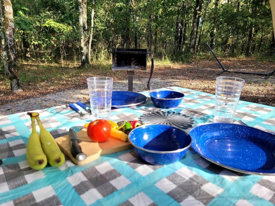 Black Fox Den: A Woodland Glamp - Dog Friendly in Hot Springs, AR Luxury tent in Hot Springs