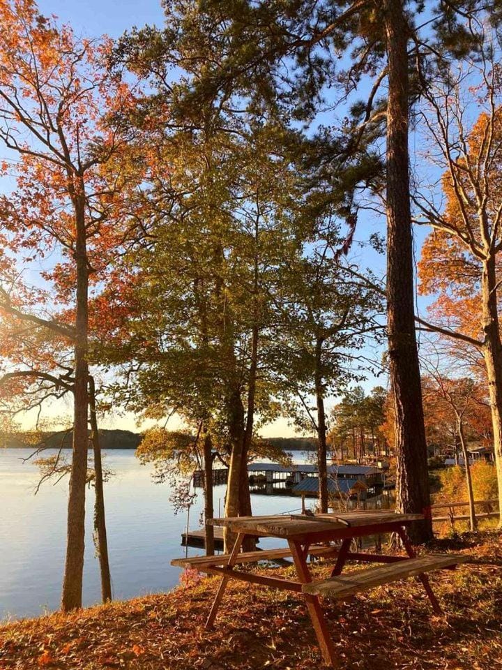 Beautiful Cabin by the Lake Nestled in Sabine National Forest for a Romantic Retreat in Hemphill, Texas Cabin in Toledo Bend Reservoir