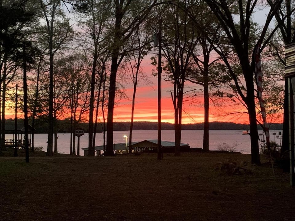 Incredible Lakefront Cabin for a Wonderful Family Adventure in Nature in Hemphill, Texas Cabin in Toledo Bend Reservoir