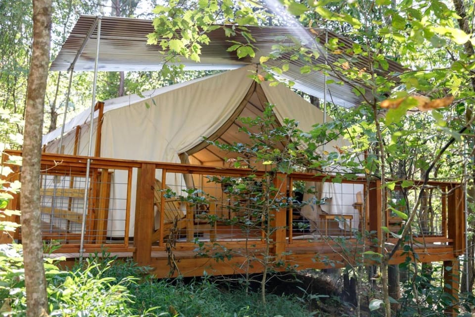 Great Cabins Ideal for Groups Getaways in Copperhill, Tennessee Cabin in Tennessee