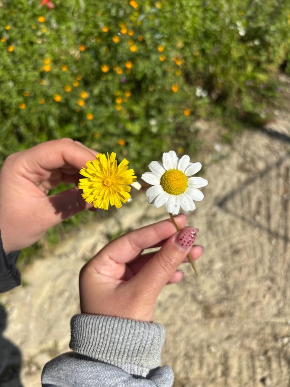 Spring, Day