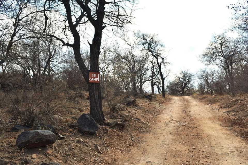 Bush Babies Camp Campground/ 
RV Resort in South Africa