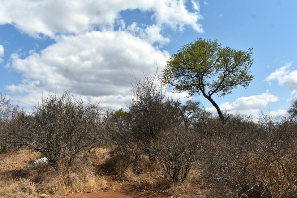 Bush Babies Camp Campground/ 
RV Resort in South Africa