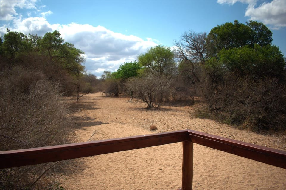 Bush Babies Camp Campground/ 
RV Resort in South Africa