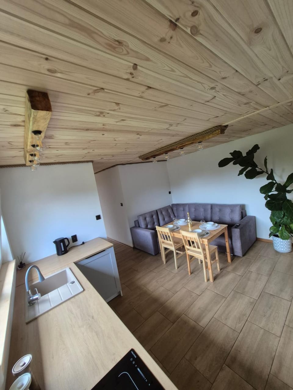 Kitchen or kitchenette, Dining area