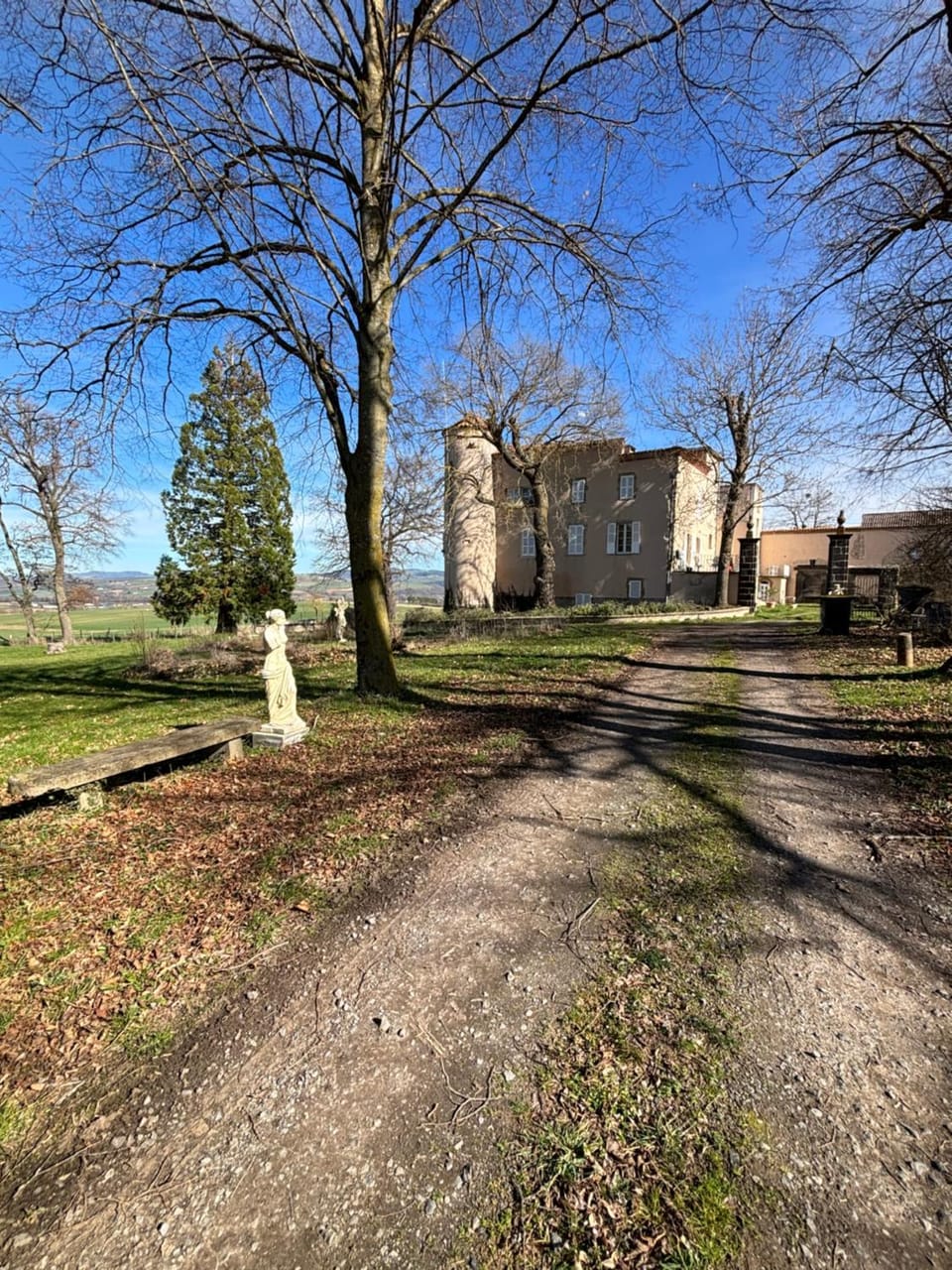 Property building, Garden view