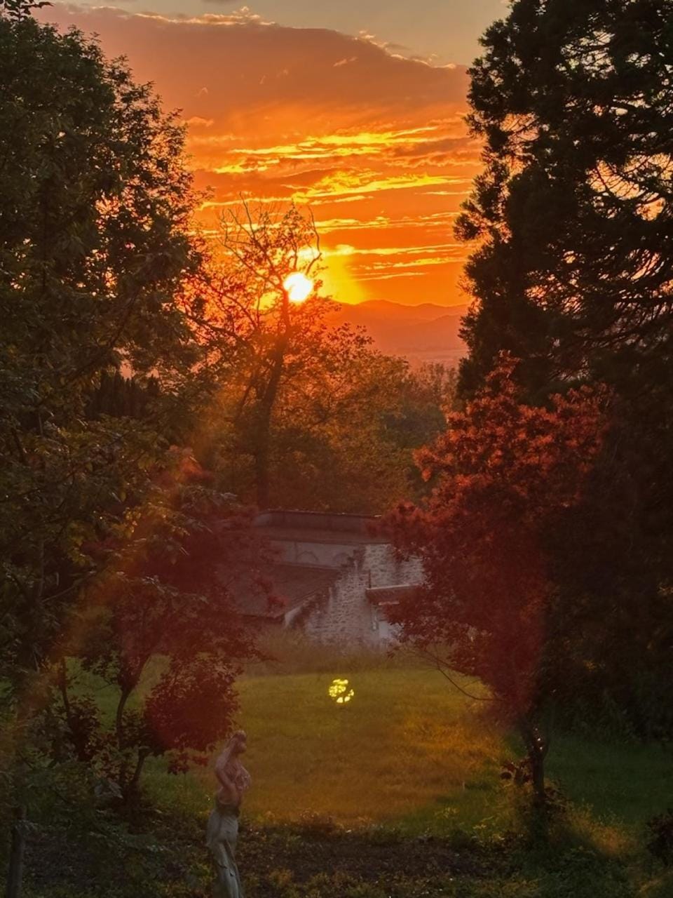 Garden view