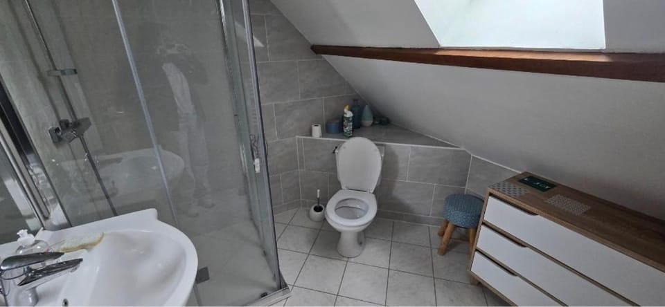 Shower, Toilet