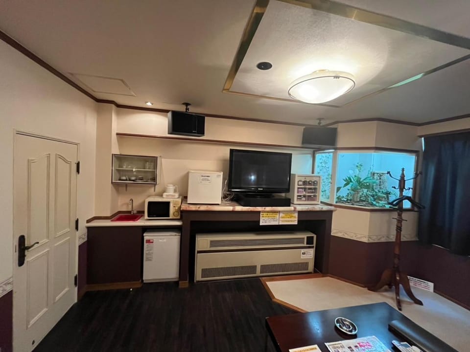 TV and multimedia, oven