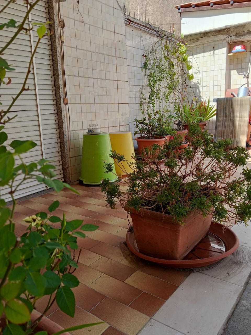 Balcony/Terrace