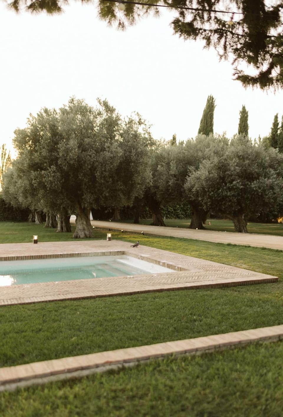 Natural landscape, Pool view, Swimming pool