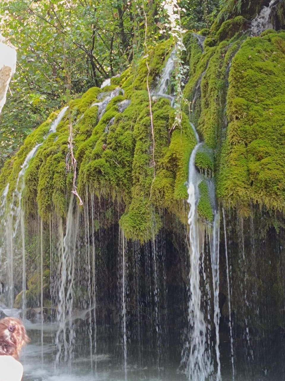 Palazzo Menghina Bed and Breakfast in Campania