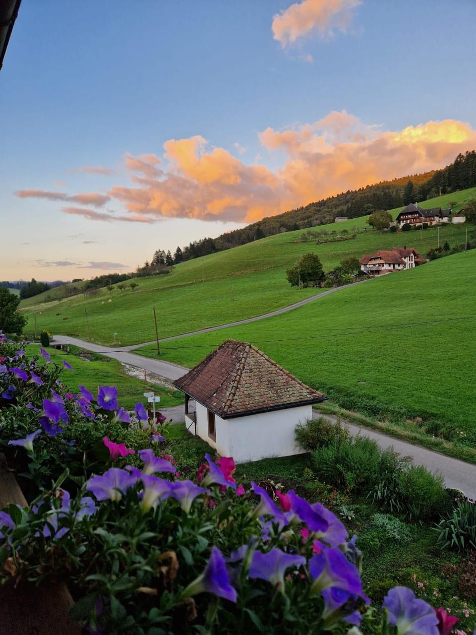 Natural landscape, Mountain view