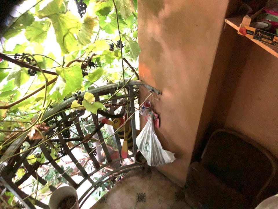 Balcony/Terrace, Quiet street view