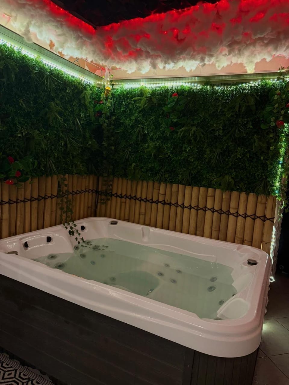 Appartement avec jaccuzi & jardin proche du centre Apartment in Occitanie