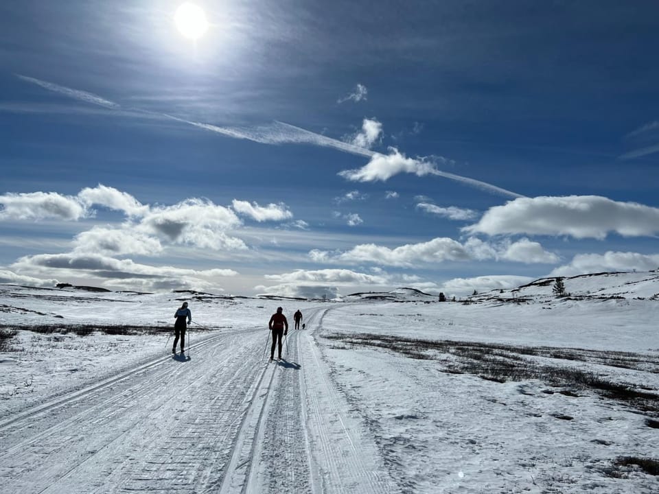 Winter, Skiing