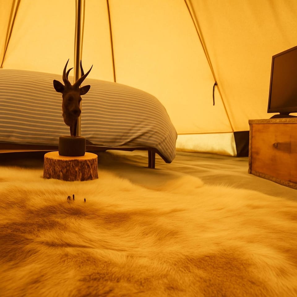 Bed, TV and multimedia, Living room, Photo of the whole room, Bedroom
