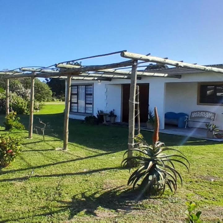 Property building, Garden view
