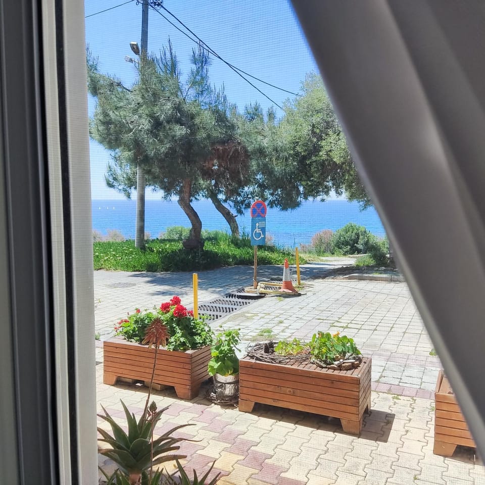 Spring, Day, Natural landscape, Garden, Garden view, Sea view