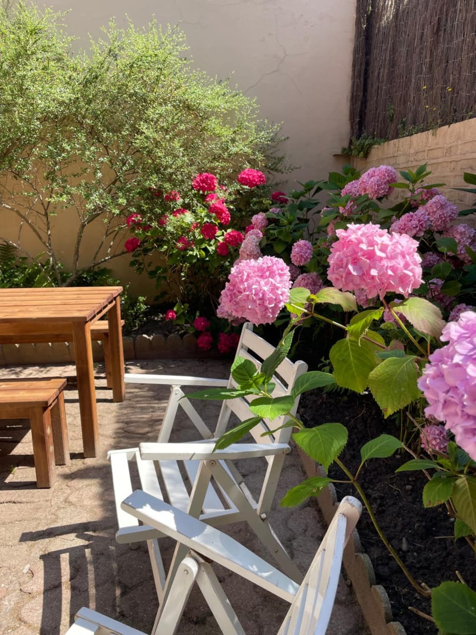 Patio, Garden, Balcony/Terrace, Garden view