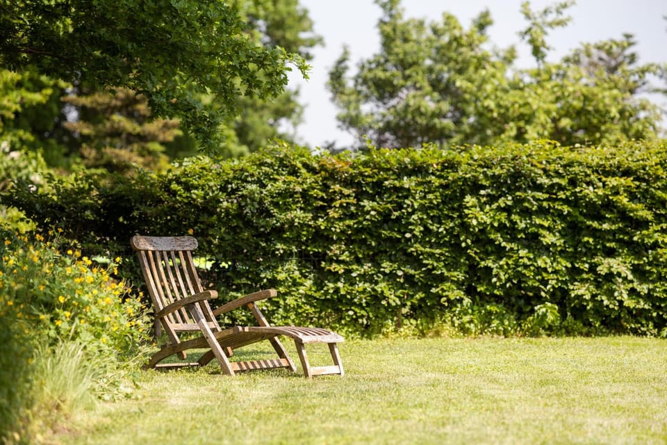 Day, Garden