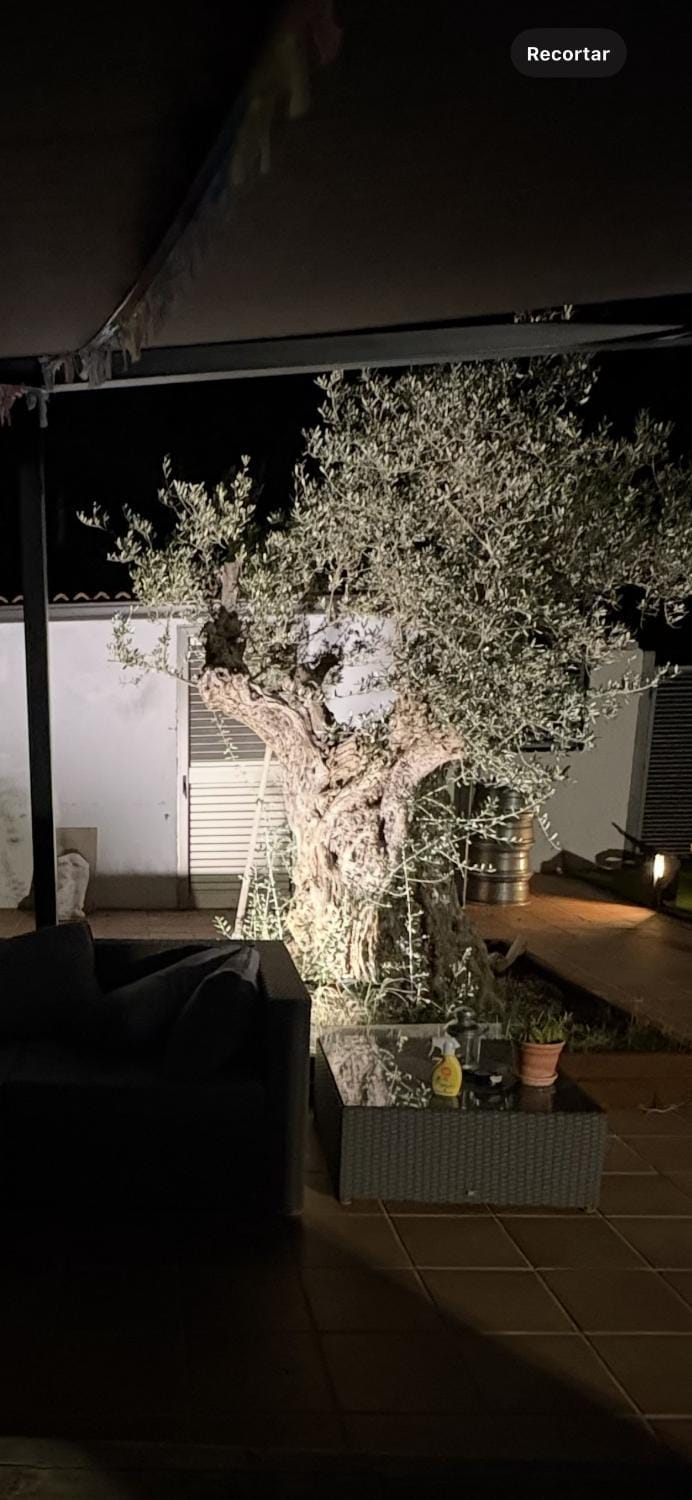 Patio, Night, Garden, Balcony/Terrace, Balcony/Terrace