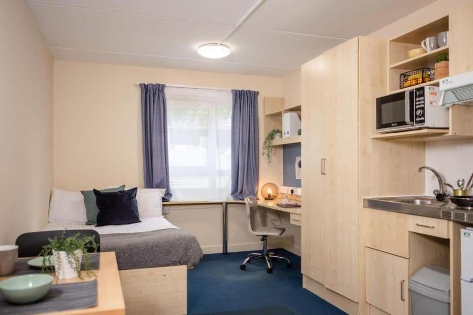 Kitchen or kitchenette, Bedroom