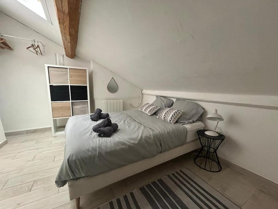 Appartement Lumineux Carcassonne Centre Apartment in Carcassonne