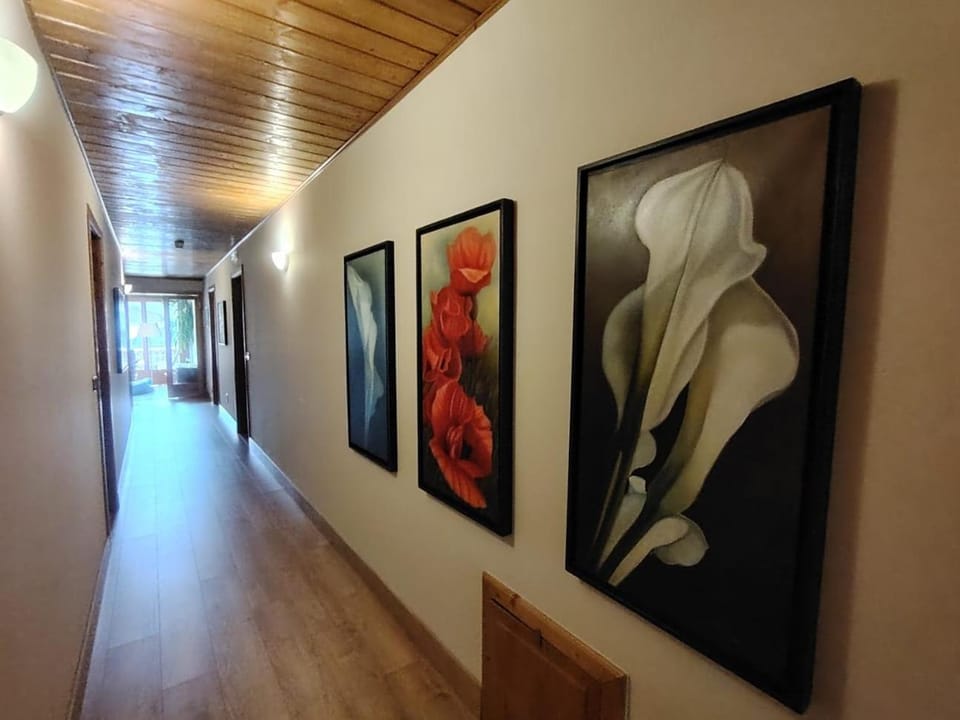 Meublè Siesle Hotel in Friuli-Venezia Giulia