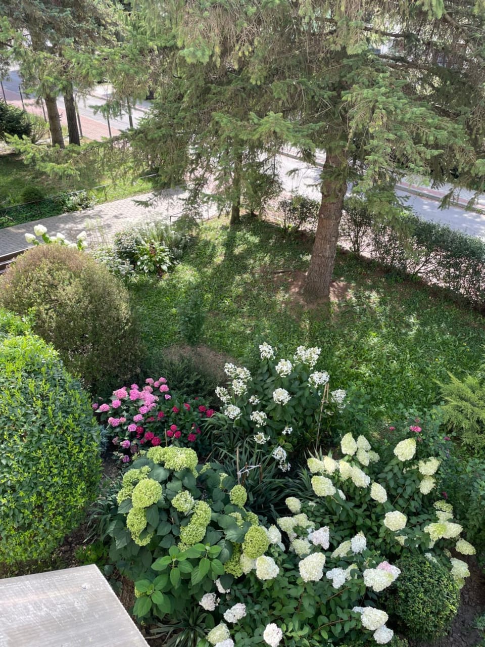 Garden view