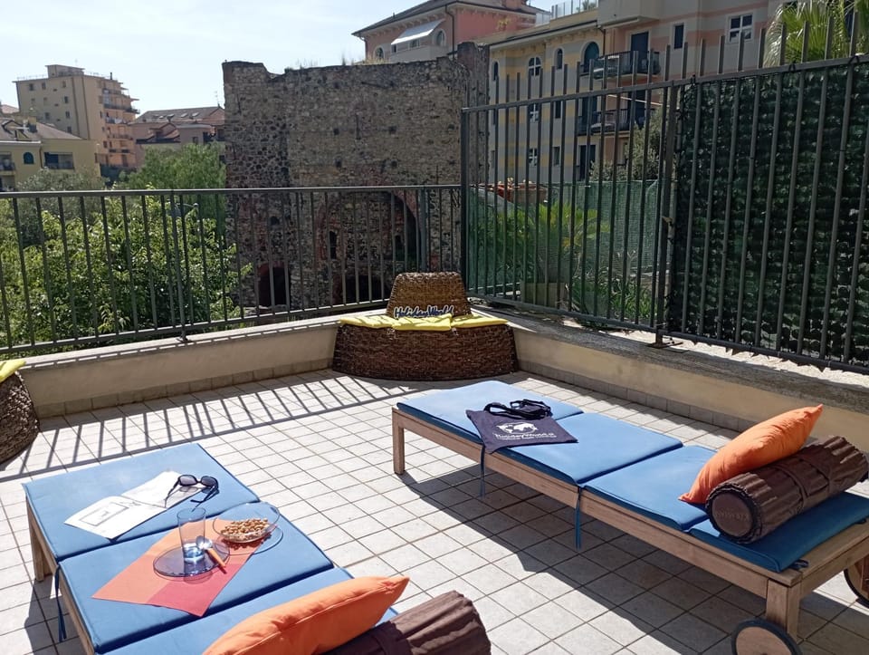 Balcony/Terrace, sunbed