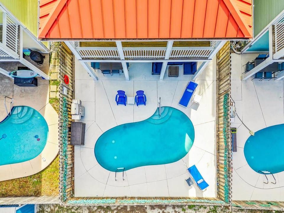 Patio, Bird's eye view, Pool view, Swimming pool, sunbed