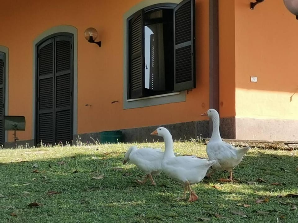 Poggio Bassotto House in Lazio