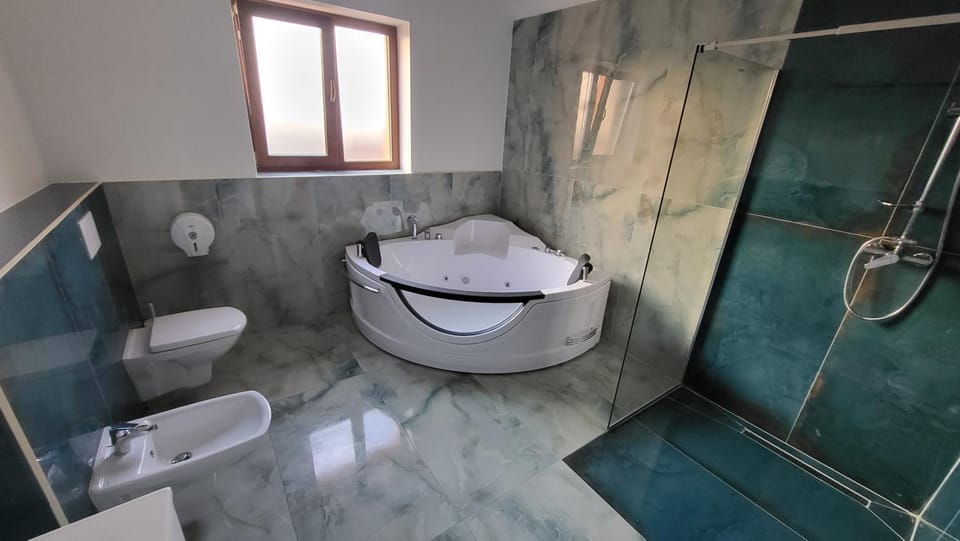 Pensiune Simona Bed and Breakfast in Serbia