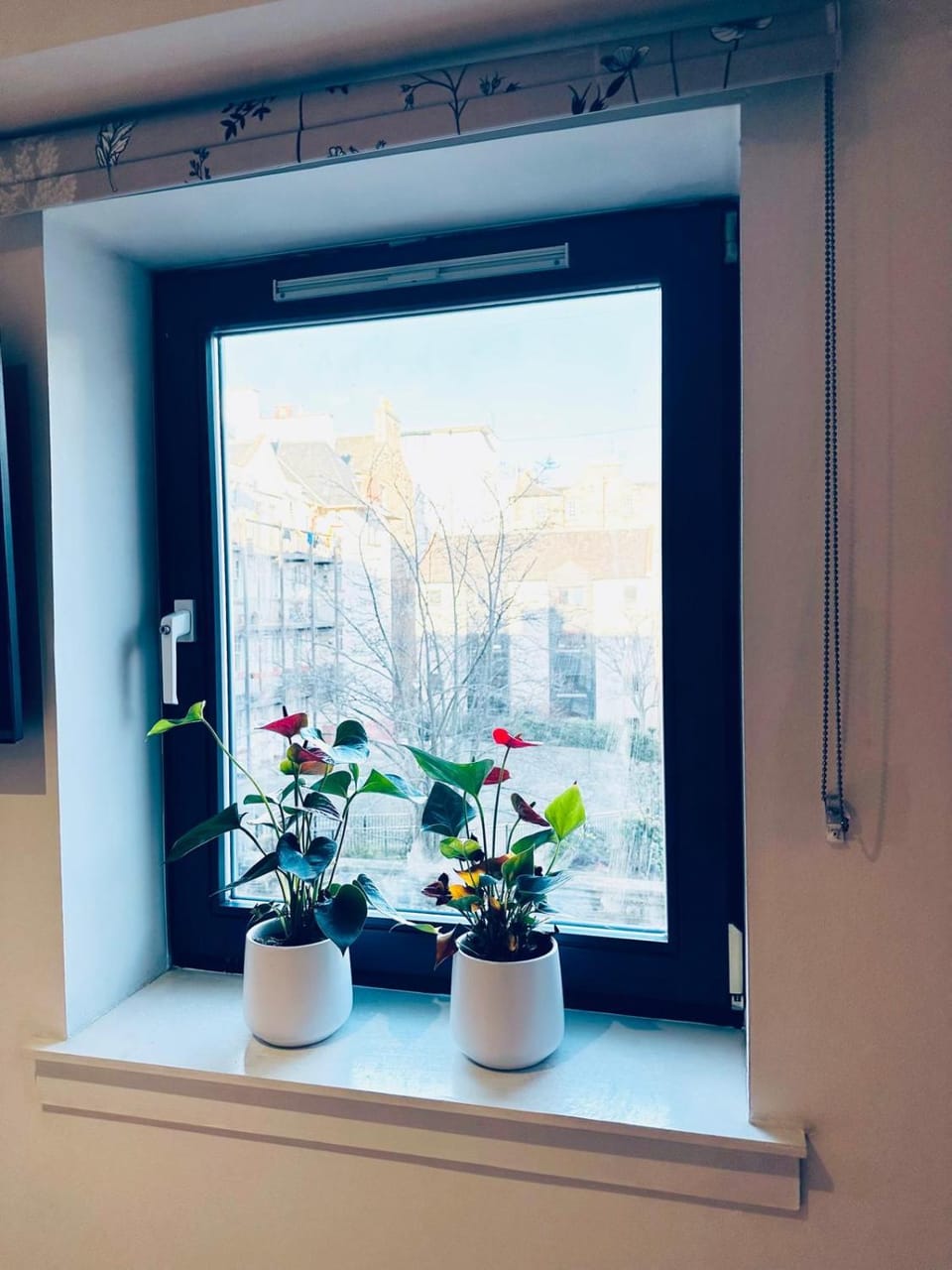 Cosy Room in Heart of Edinburgh Vacation rental in Edinburgh