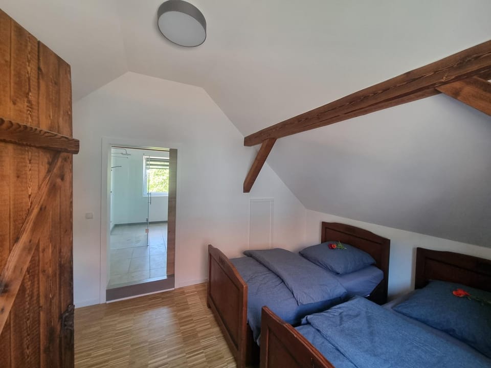 Pension Alte Schmiede House in Thuringia, Germany