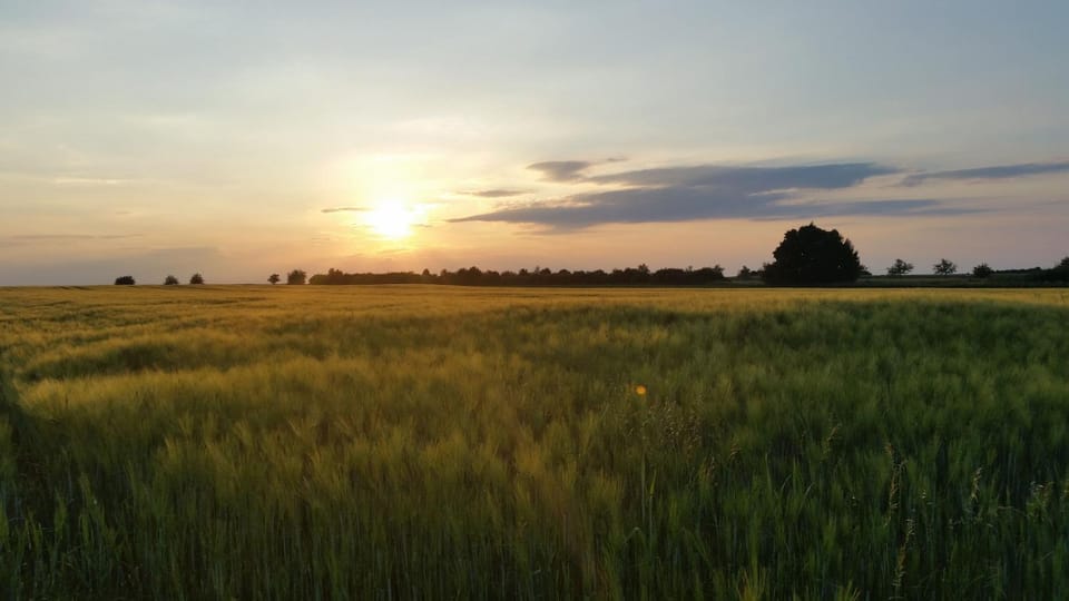 Natural landscape, Sunset