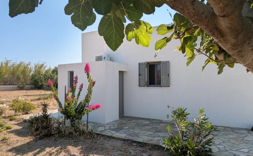 Property building, Day, Garden, Garden view