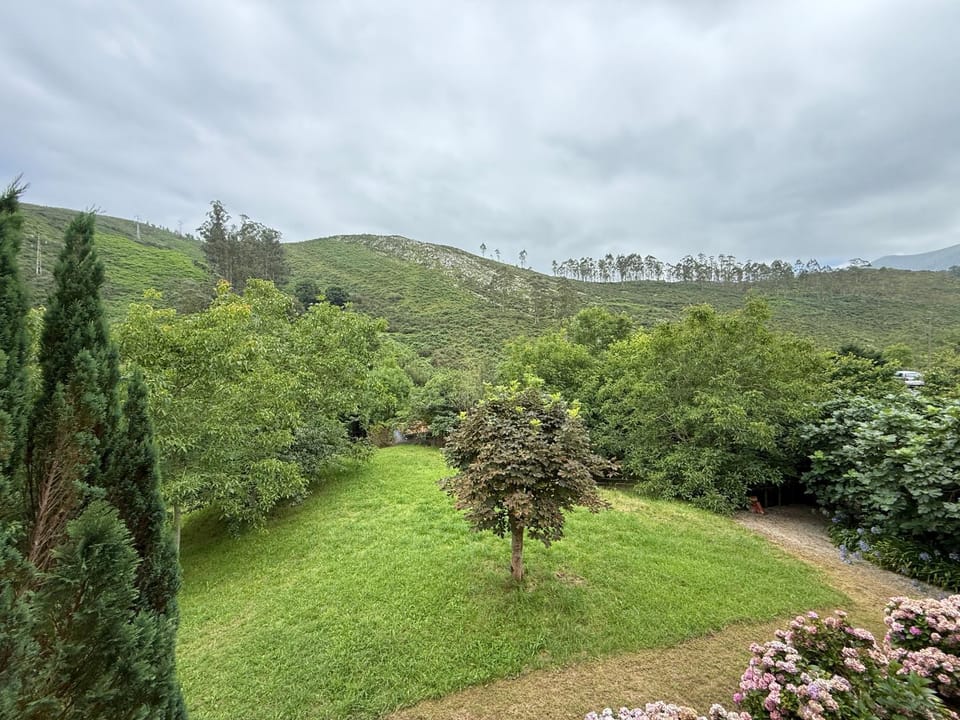 Natural landscape, Garden, Garden view, Mountain view