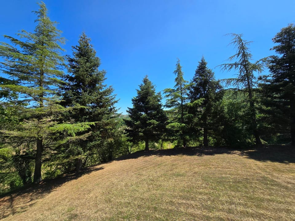 Day, Natural landscape