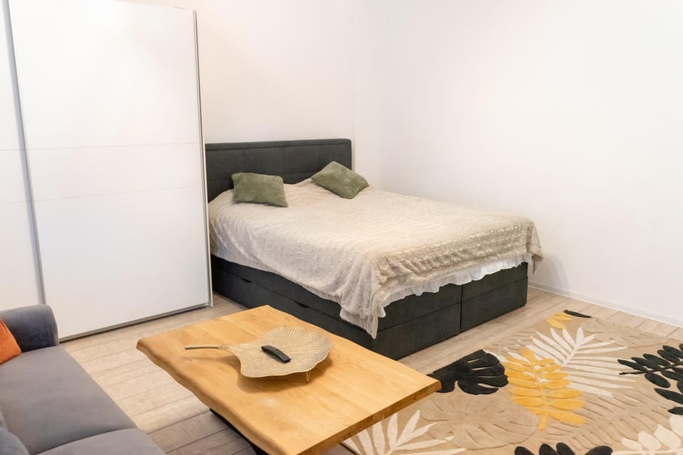 Guesthouse Olteniei Apartment in Brasov