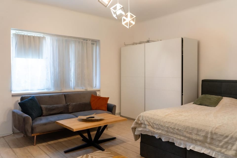 Guesthouse Olteniei Apartment in Brasov
