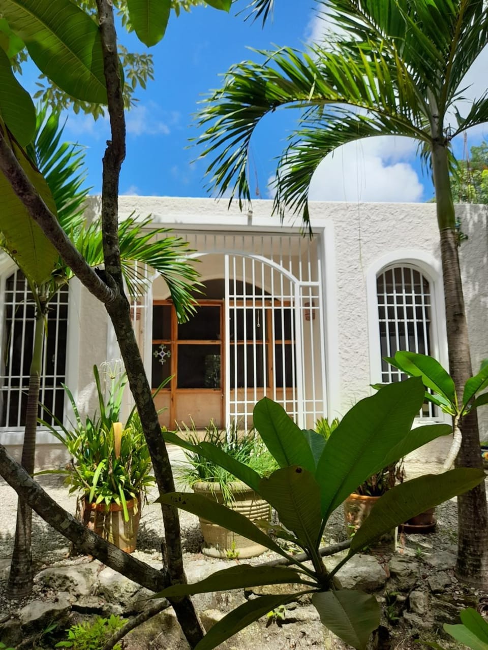 Casa Selva y Mar House in State of Quintana Roo