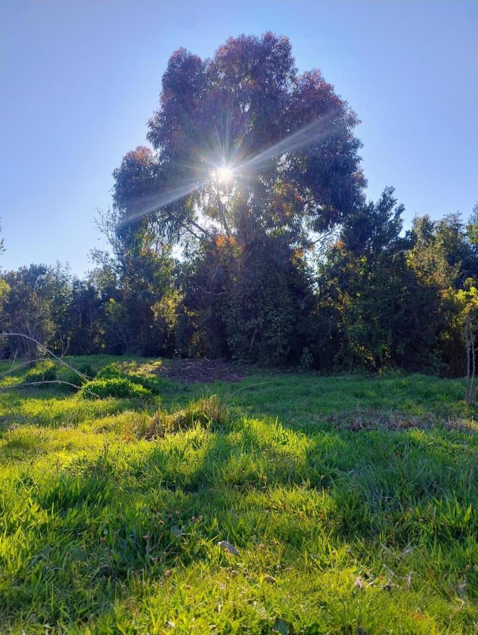 Natural landscape