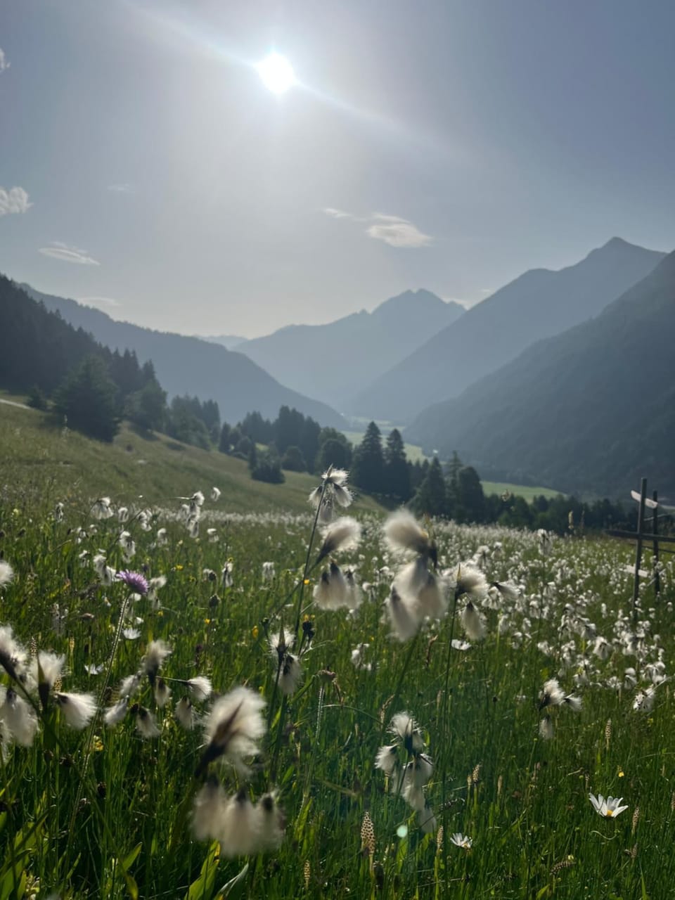 Haus Bergfrühling Vacation rental in Tyrol